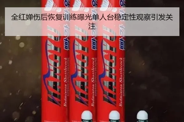 全红婵伤后恢复训练曝光单人台稳定性观察引发关注
